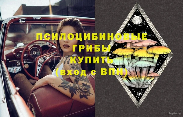 герыч Алексин