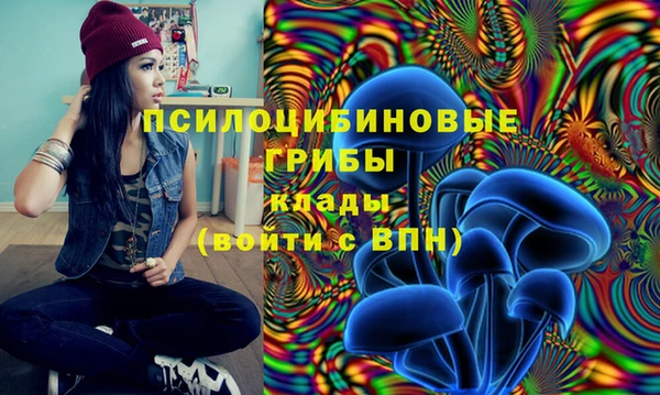 герыч Алексеевка