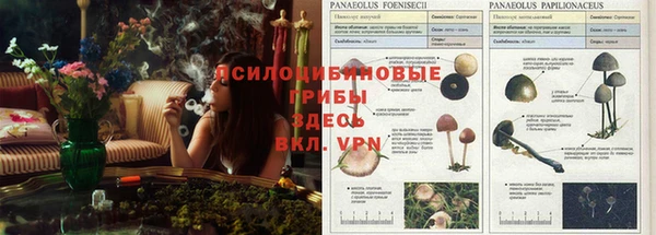 гашиш Алзамай