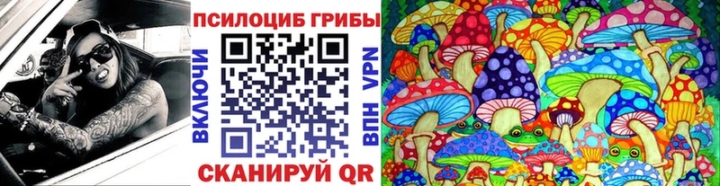 где купить наркотик Рошаль Псилоцибиновые грибы прущие грибы